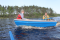 Пластиковая лодка DeltaMarine 310