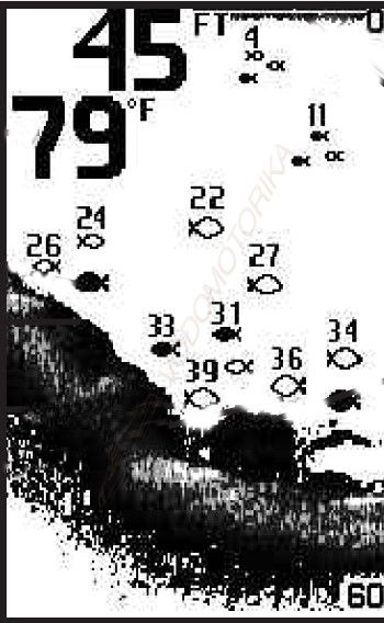 Эхолот Humminbird PiranhaMAX 180