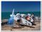 Надувная доска для SUP серфинга D7 Boards Universal 10.6