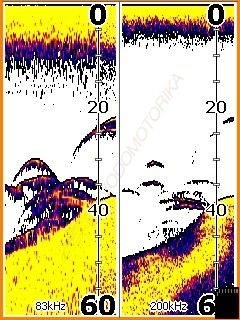 Эхолот Lowrance Elite-3x