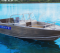 Алюминиевый катер WYATBOAT Wyatboat-490 DCM