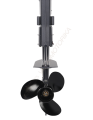 Лодочный мотор ALLFA CG T3 (3 л.с. двухтактный) Лодочный мотор ALLFA CG T3 (3 л.с. двухтактный)